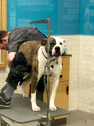 Pet Supply Store «Petco Animal Supplies», reviews and photos, 475 S Wadsworth Blvd, Lakewood, CO 80226, USA