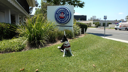 Auto Insurance Agency «AAA - Automobile Club of Southern California», reviews and photos