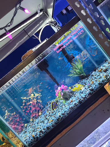 Pet Store «All About Pets LLC», reviews and photos, 52567 Columbia River Hwy, Scappoose, OR 97056, USA