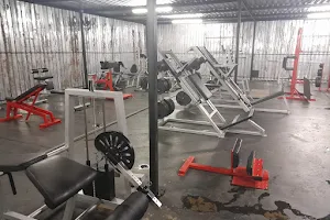 Gym Rat image