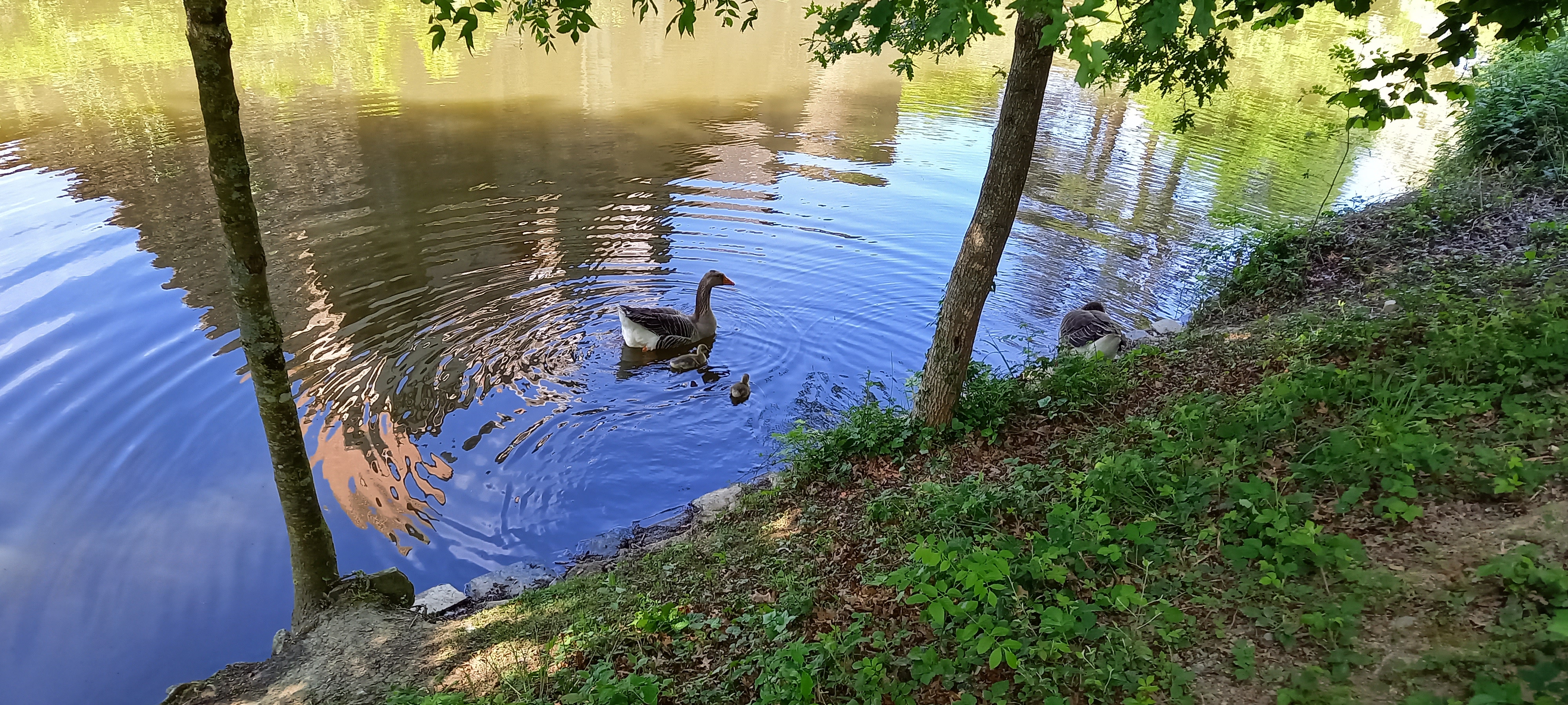 Photo n° 2 de l'avis de Philippe.h fait le 07/05/2022 à 08:38