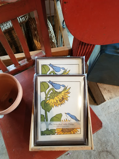 Orchard «Hurd Orchards», reviews and photos, 17260 W Ridge Rd, Holley, NY 14470, USA