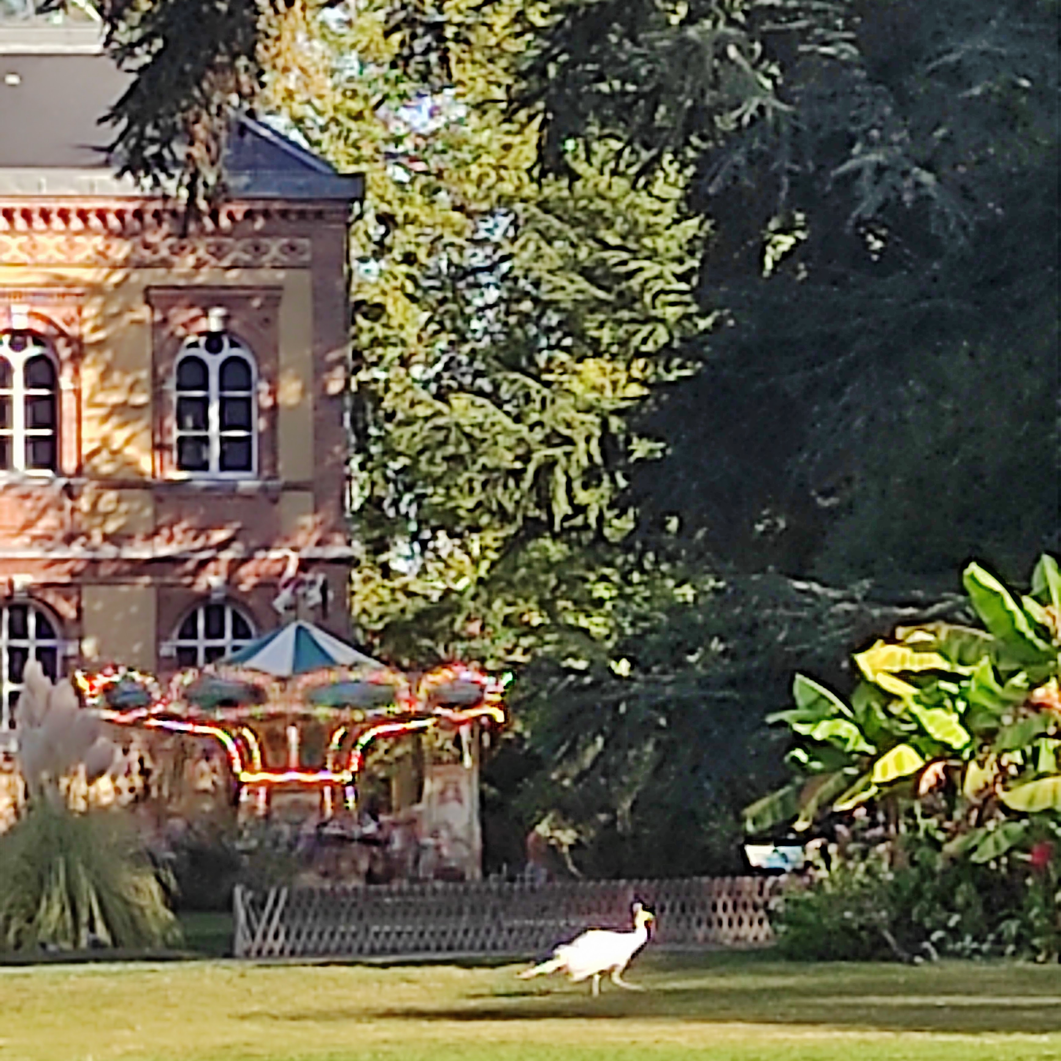 Photo n° 1 de l'avis de Dominique.a fait le 14/10/2023 à 10:47