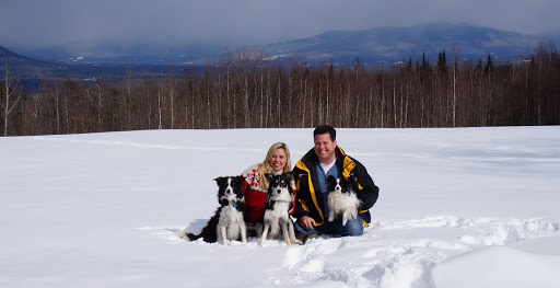 Bankruptcy Attorney «Attorney Mark Buckley, CFP», reviews and photos