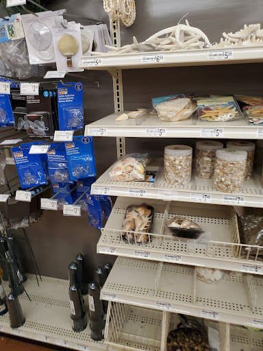 Craft Store «Michaels», reviews and photos, 2535 NE 10th Ct, Homestead, FL 33033, USA