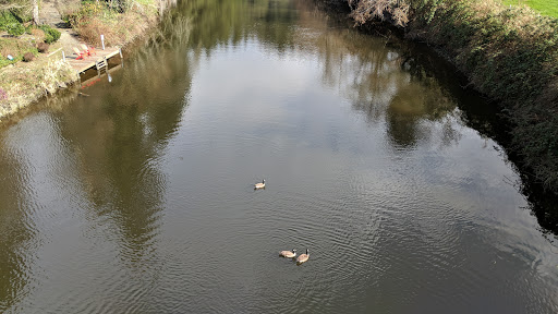 Golf Course «Wayne Public Golf Course», reviews and photos, 16721 96th Ave NE, Bothell, WA 98011, USA