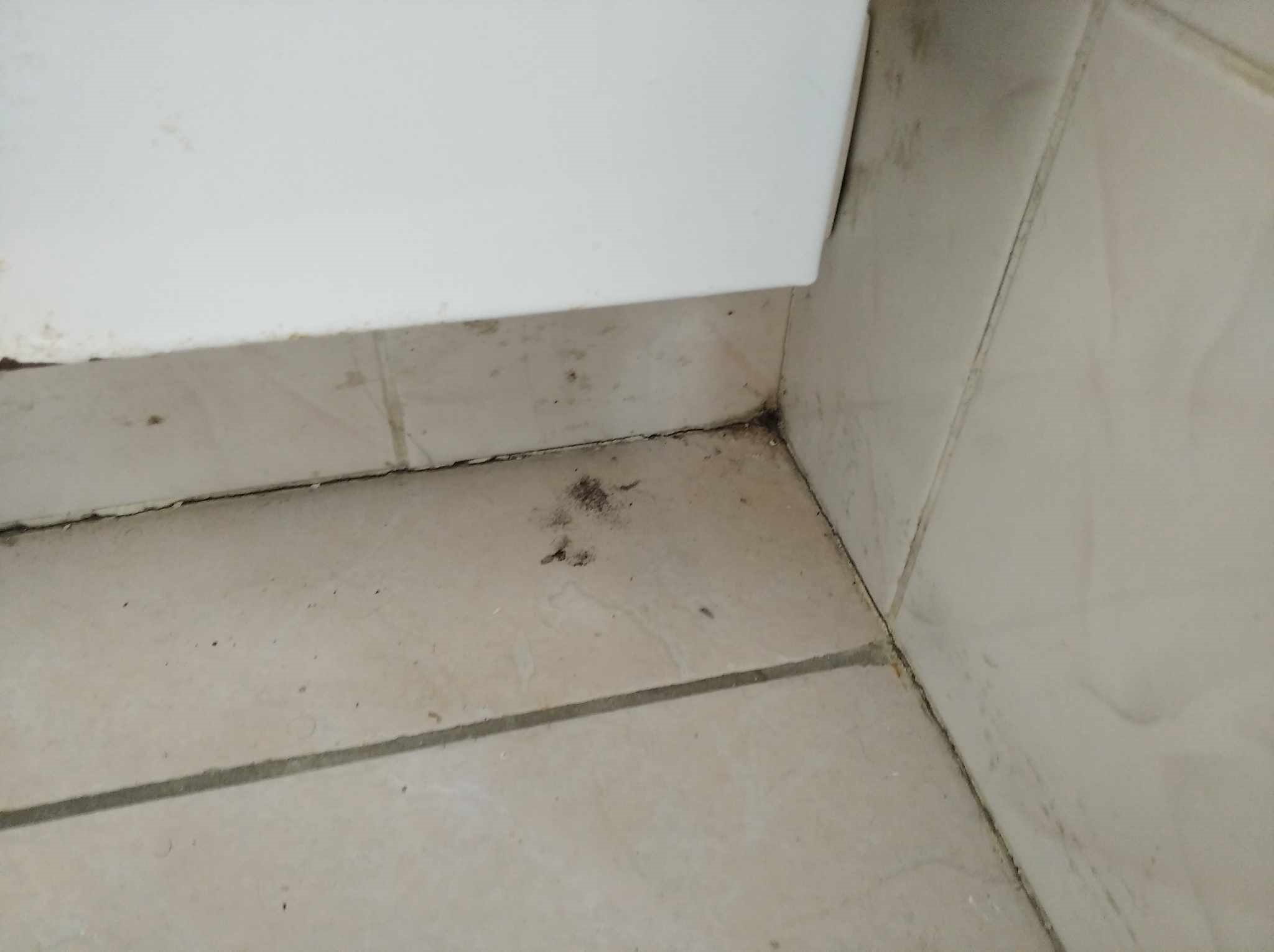 Photo n° 1 de l'avis de Leon.a fait le 27/07/2023 à 14:49
