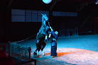 Théâtre Equestre de Bretagne - Equus Arte La Gacilly