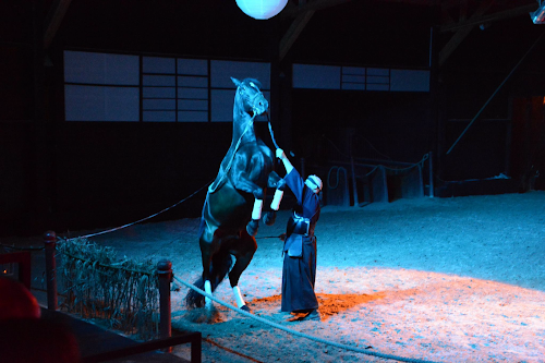 Théâtre Equestre de Bretagne - Equus Arte à La Gacilly
