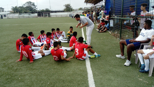 Cancha De Futbol De Palmar