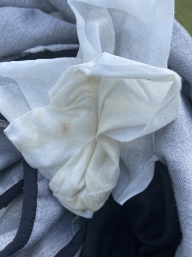 Pet Supply Store «Petco Animal Supplies», reviews and photos, 1753 St Lucie W Blvd, Port St Lucie, FL 34986, USA