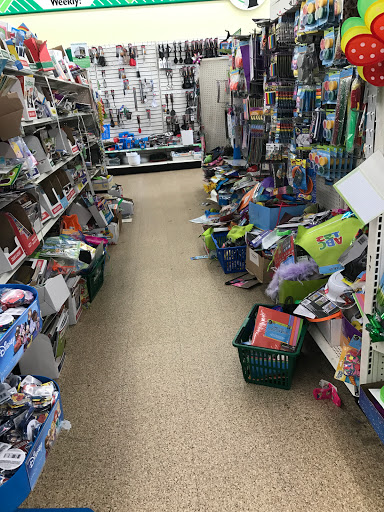 Dollar Store «Dollar Tree», reviews and photos, 135 Bloomfield Ave, Bloomfield, NJ 07003, USA