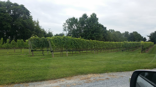 Winery «Beneduce Vineyards», reviews and photos, 1 Jeremiah Ln, Pittstown, NJ 08867, USA