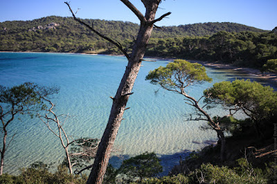 Var Tourisme à Toulon