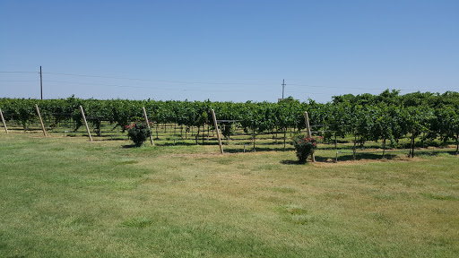 Winery «CapRock Winery», reviews and photos, 408 E Woodrow Rd, Lubbock, TX 79423, USA