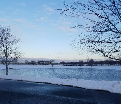 Auto Auction «Manheim New Jersey», reviews and photos, 730 NJ-68, Bordentown, NJ 08505, USA