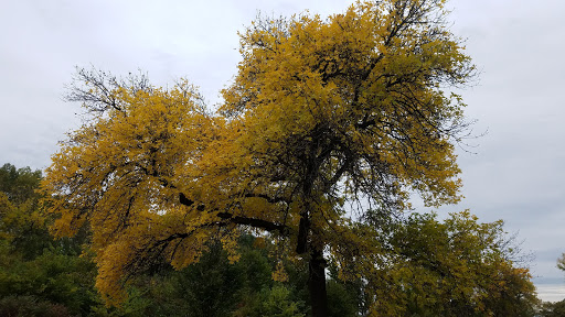 National Park «Coldwater Spring», reviews and photos, 5601 Minnehaha Park Dr S, Minneapolis, MN 55417, USA