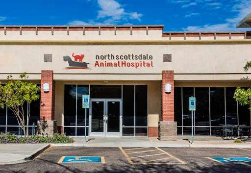 North Scottsdale Animal Hospital