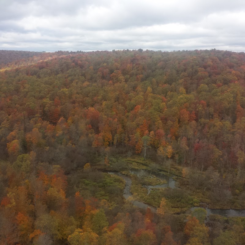 Allegheny National Forest Visitors Bureau