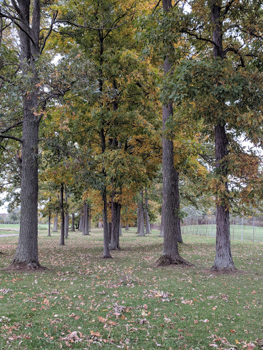 Golf Course «Niagara County Golf Course», reviews and photos, 314 Davison Rd, Lockport, NY 14094, USA