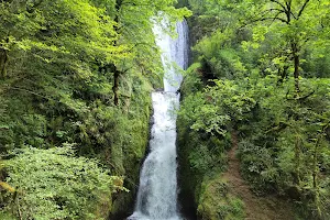 Bridal Veil Falls State Scenic Viewpoint image