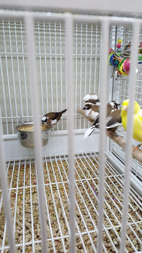 Pet Supply Store «Pet Supplies Plus», reviews and photos, 135-25 79th St, Howard Beach, NY 11414, USA