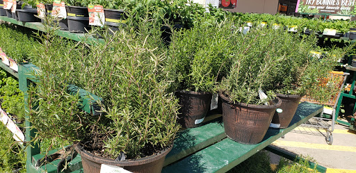 Home Improvement Store «The Home Depot», reviews and photos, 4901 Capital Blvd, Raleigh, NC 27616, USA