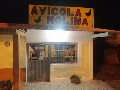 Avicola Molina