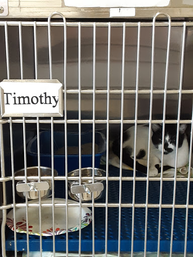 Pet Store «Petsense Enterprise», reviews and photos, 621 Boll Weevil Cir, Enterprise, AL 36330, USA