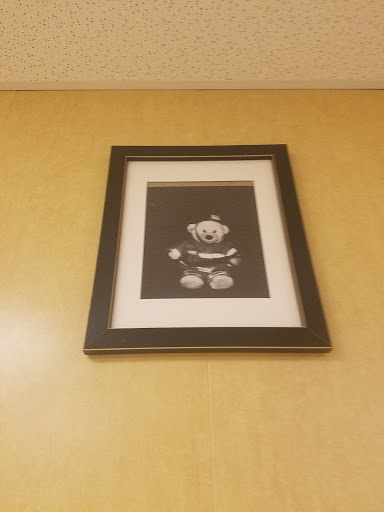 Grocery Store «Food Lion», reviews and photos, 13100 Midlothian Turnpike, Midlothian, VA 23113, USA