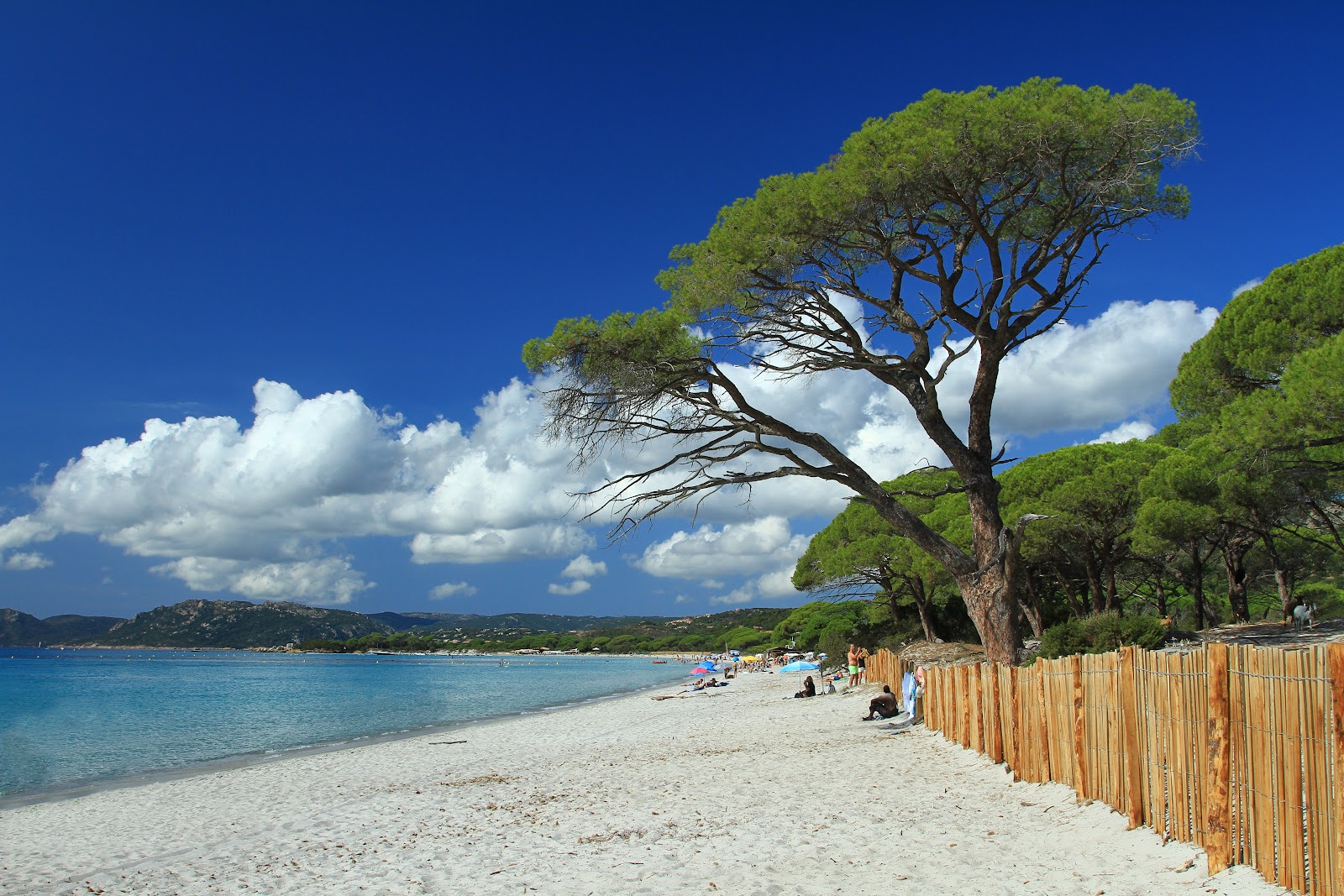 Plage de Palombaggia photo #17