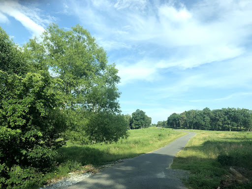 Nature Preserve «Elk and Bison Prairie», reviews and photos, Elk & Bison Prairie Rd, Golden Pond, KY 42211, USA