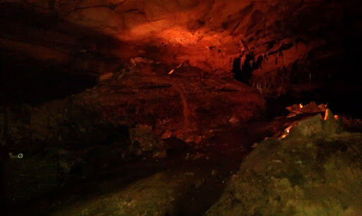 Tourist Attraction «Inner Space Cavern», reviews and photos, 4200 I-35, Georgetown, TX 78626, USA