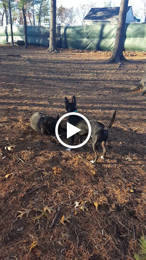 Dog Park «Beverly Dog Park», reviews and photos, L P Henderson Rd, Beverly, MA 01915, USA