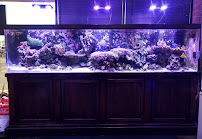 Reef Plus - Photo 7 - Car repair in North Aurora, IL, Naperville