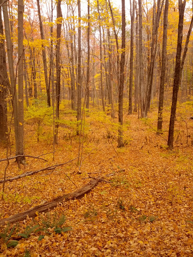 Park «Bethany Veterans Memorial Park», reviews and photos, 265 Beacon Rd, Bethany, CT 06524, USA