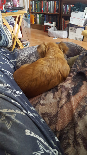 Grocery Store «Grocery Outlet Bargain Market», reviews and photos, 1124 3rd St, Crescent City, CA 95531, USA