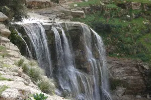 Oued Zitoun Waterfalls image