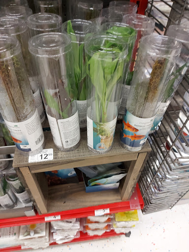 Pet Supply Store «Petco Animal Supplies», reviews and photos, 364 Randall Rd, South Elgin, IL 60177, USA