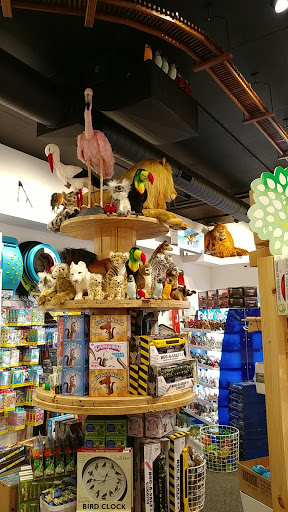 Toy Store «Coolest Toys On Earth», reviews and photos, 6840 Wooster Pike, Cincinnati, OH 45227, USA