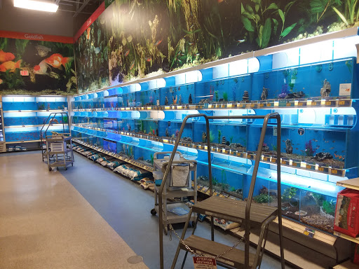 Pet Supply Store «PetSmart», reviews and photos, 13241 Gateway Center Dr, Gainesville, VA 20155, USA