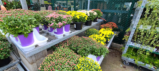 Home Improvement Store «The Home Depot», reviews and photos, 3891 Mexico Rd, St Charles, MO 63303, USA