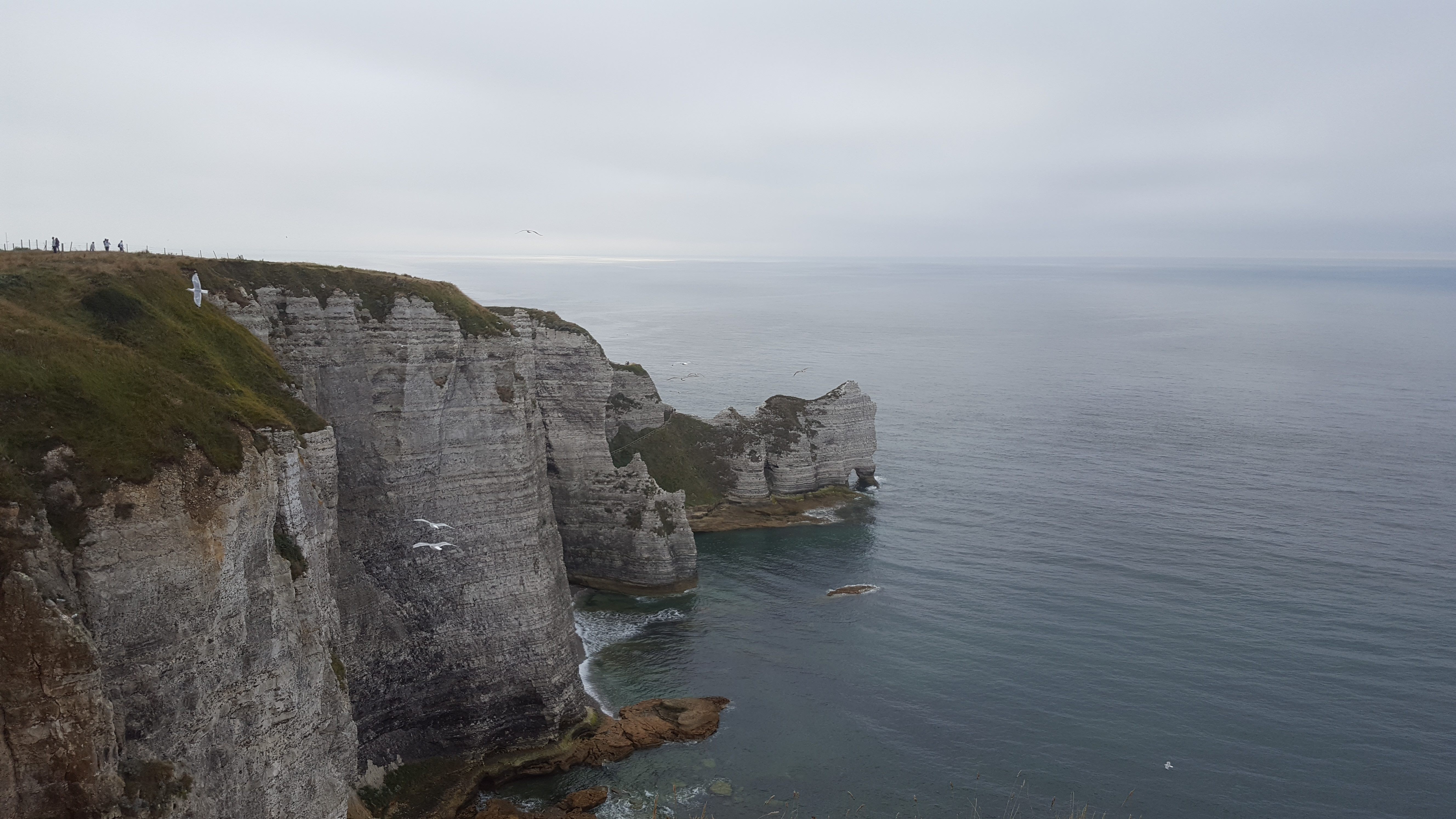 Photo n° 4 de l'avis de lacroix.l fait le 25/08/2018 à 08:40