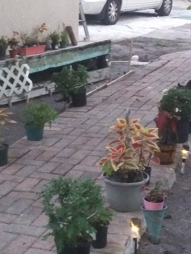 Department Store «Walmart Supercenter», reviews and photos, 8320 Lockwood Ridge Rd, Sarasota, FL 34243, USA