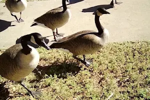 Liberty Lake Park image