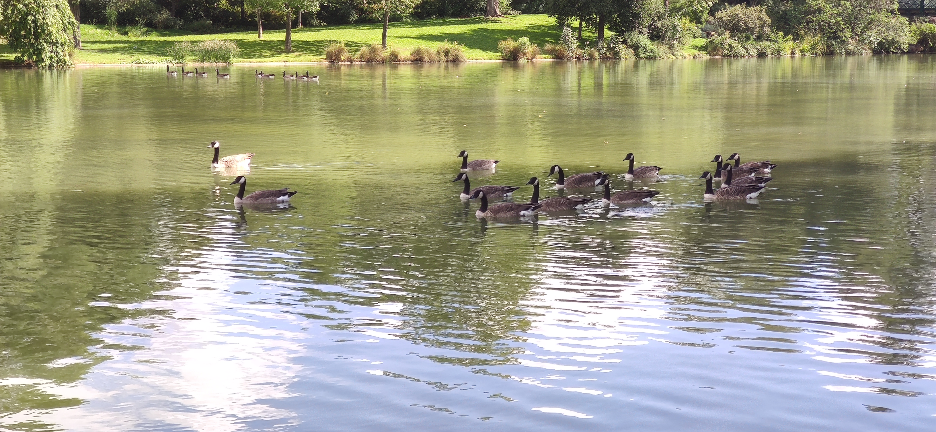 Photo n° 19 de l'avis de Claude.Q fait le 15/08/2023 à 14:52
