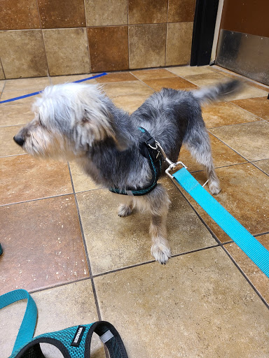 Pet Supply Store «PetSmart», reviews and photos, 6960 Amador Plaza Rd, Dublin, CA 94568, USA