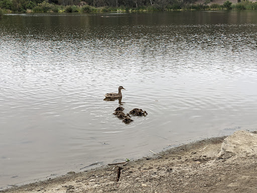 Park «Laguna Niguel Regional Park», reviews and photos, 28241 La Paz Rd, Laguna Niguel, CA 92677, USA