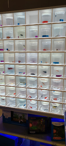 Pet Supply Store «PetSmart», reviews and photos, 11331 Causeway Blvd, Brandon, FL 33511, USA