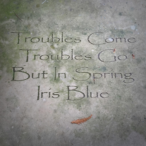 Park «Dragon Park», reviews and photos, 3520 Cedar Springs Rd, Dallas, TX 75219, USA